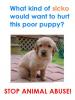 stop animal abuse