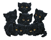 Gatos
