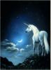 night unicorn