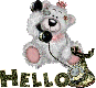 helllo teddy bear