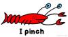 I pinch lobster