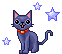 star kitty