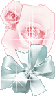 PINK ROSE