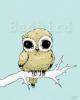 BadBird Owl