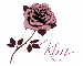 Kim-color change rose