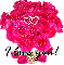I love you (dozen pink roses)
