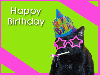 cool cat birthday