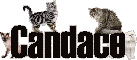 Candace (Cats)