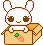 cute bunny in carrot box