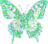 light green color butterfly