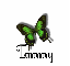 Tammy butterfly