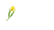 Daffodil Pen Yellow - Aletha