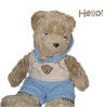 Teddy Hello