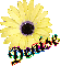 Denise (yellow flower)