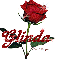 red rose glinda
