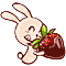 Cute Bunny With Chocolate Covered Strawberry