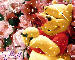 Pooh Flowers~Gina
