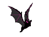 Pink and Black winged Bat