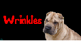 Sharpei Dog (tan)~ Wrinkles