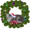 Christmas Kitty in Wreath