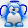 blue fairy penguin