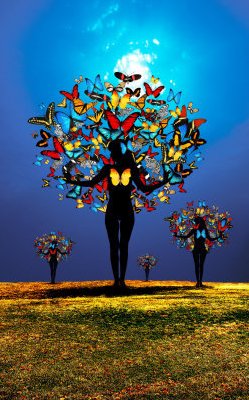 mujeres Ã¡rbol mariposas