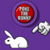 Please don't poke the bunny !
