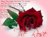 The Rose Love 