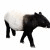 tapir!<3