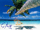 Tropical Getaway- Gina