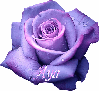 Aya, Purple, Flower
