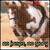 no jumps...no glory