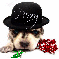 Puppy wearing hat (glitter)- Perry