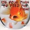 Goldfish Jaws- It's YOUR turn to feed the fish!!