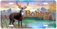 Buck Deer in the woods Tag- Bobby
