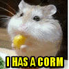 I Has A Corn...