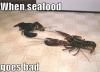 when seafood goes bad
