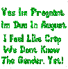 yes i'm pregnant...