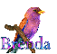 Bird-Brenda