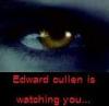 edward cullen