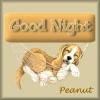 Tag - Good Night from Peanut