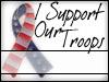i support our troops 2