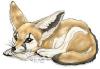 sad fox