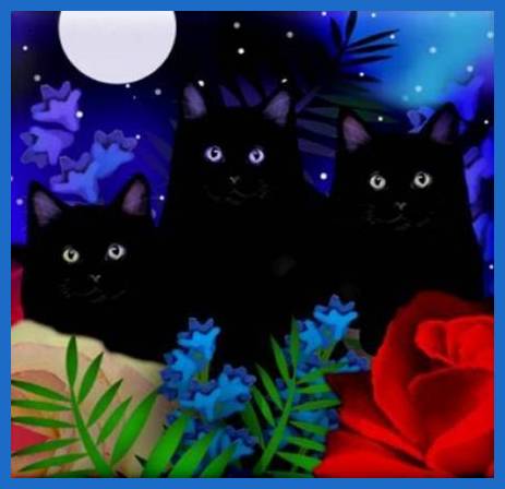 Cute Cats