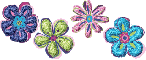 colored flowers