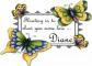 Butterflies - Floating by, showing love - Diane