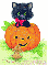 Cat-Pumpkin-Katerina