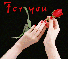 For you - single red rose