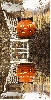 pumpkin, halloween, dynia