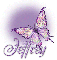 Butterfly Bling Purple Jeffrey
